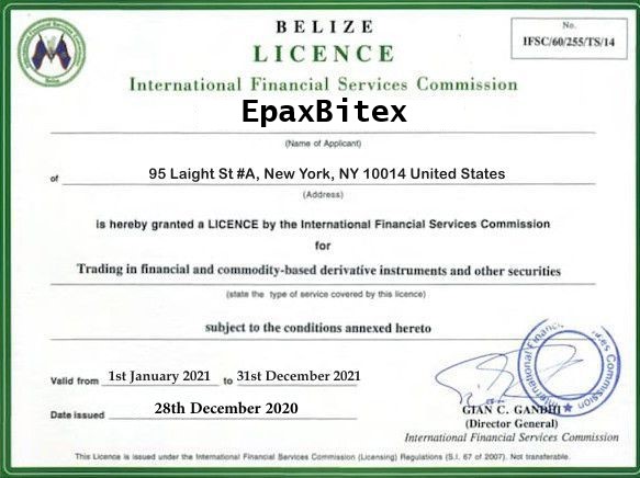 EverestTradex Certificate